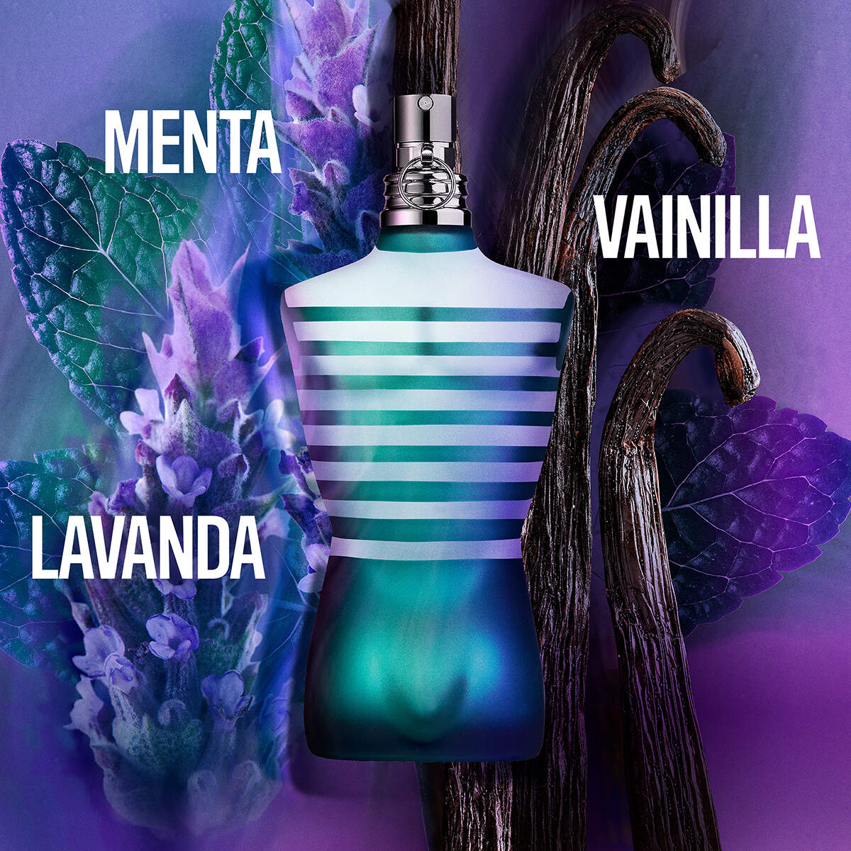 LE MALE SET EAU DE TOILETTE